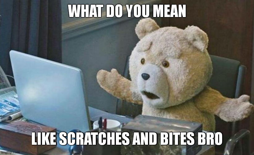 what do you mean? | WHAT DO YOU MEAN LIKE SCRATCHES AND BITES BRO | image tagged in what do you mean | made w/ Imgflip meme maker