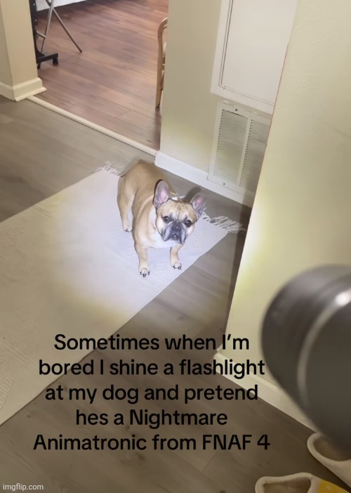 image tagged in memes,shitpost,dog,fnaf,oh wow are you actually reading these tags | made w/ Imgflip meme maker