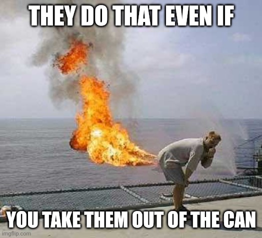 Darti Boy Meme | THEY DO THAT EVEN IF YOU TAKE THEM OUT OF THE CAN | image tagged in memes,darti boy | made w/ Imgflip meme maker