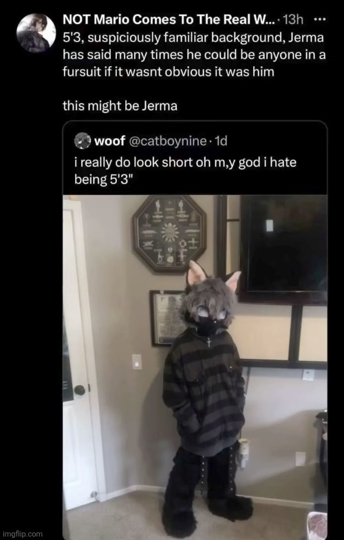 image tagged in memes,shitpost,jerma,oh wow are you actually reading these tags | made w/ Imgflip meme maker