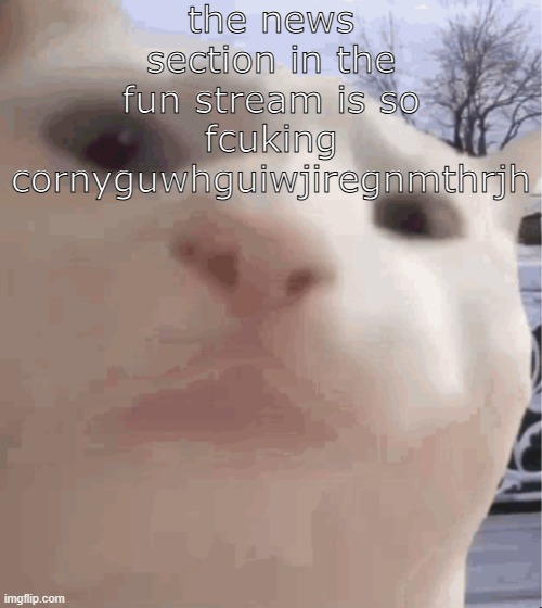 i showed you my | the news section in the fun stream is so fcuking cornyguwhguiwjiregnmthrjh | image tagged in i showed you my | made w/ Imgflip meme maker