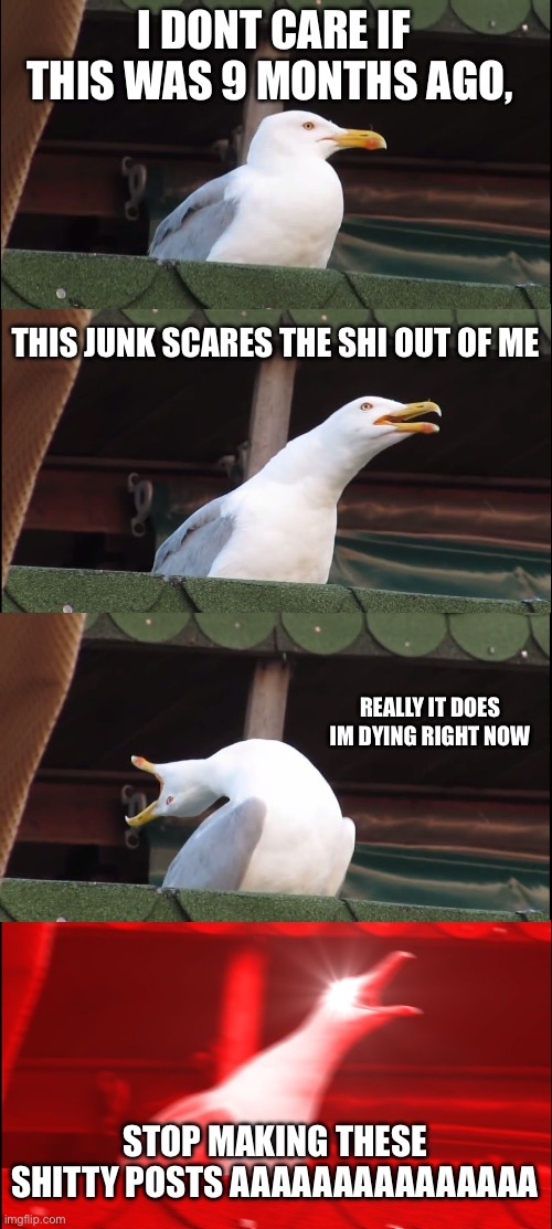 I DONT CARE IF THIS WAS 9 MONTHS AGO, THIS JUNK SCARES THE SHI OUT OF ME REALLY IT DOES IM DYING RIGHT NOW STOP MAKING THESE SHITTY POSTS AA | image tagged in memes,inhaling seagull | made w/ Imgflip meme maker