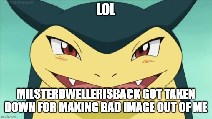 MilsterDwellerIsBack's meme got taken down | LOL; MILSTERDWELLERISBACK GOT TAKEN DOWN FOR MAKING BAD IMAGE OUT OF ME | image tagged in typhlosion,mrdwellersucks | made w/ Imgflip meme maker