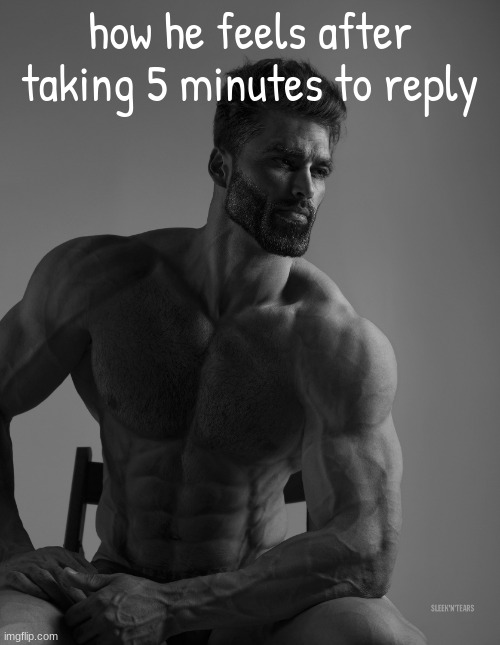 these r all jokes btw im js bein silly | how he feels after taking 5 minutes to reply | image tagged in giga chad | made w/ Imgflip meme maker