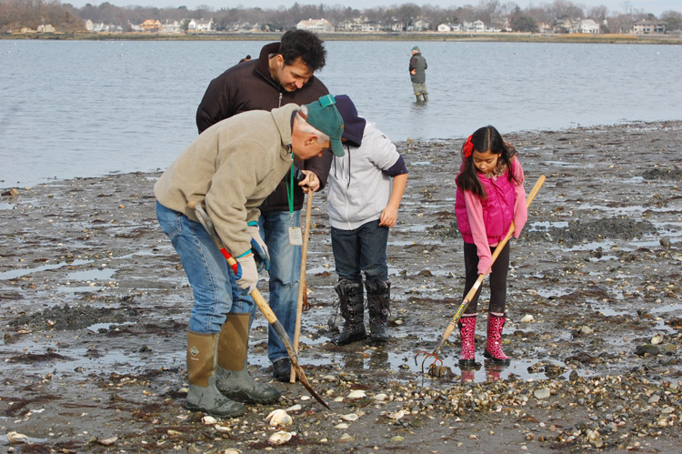 High Quality Shellfishing Blank Meme Template