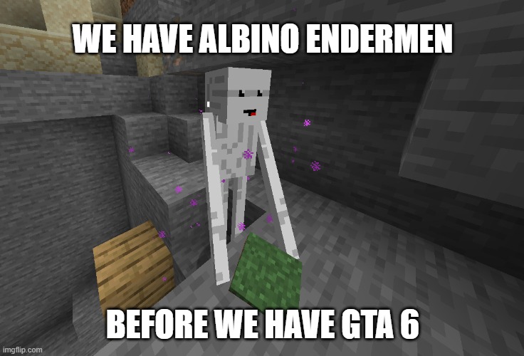 albino endermen | WE HAVE ALBINO ENDERMEN; BEFORE WE HAVE GTA 6 | image tagged in minecraft,gaming,gta 6,funny | made w/ Imgflip meme maker