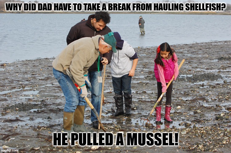 Daily Bad Dad Joke August 7, 2025 | WHY DID DAD HAVE TO TAKE A BREAK FROM HAULING SHELLFISH? HE PULLED A MUSSEL! | image tagged in shellfishing | made w/ Imgflip meme maker