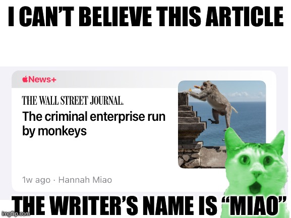 Is she a raycat? | I CAN’T BELIEVE THIS ARTICLE; THE WRITER’S NAME IS “MIAO” | image tagged in blank white template,memes | made w/ Imgflip meme maker