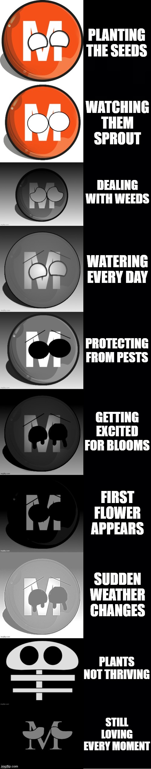 M-Trainball becoming Uncanny: Your hobby | PLANTING THE SEEDS; WATCHING THEM SPROUT; DEALING WITH WEEDS; WATERING EVERY DAY; PROTECTING FROM PESTS; GETTING EXCITED FOR BLOOMS; FIRST FLOWER APPEARS; SUDDEN WEATHER CHANGES; PLANTS NOT THRIVING; STILL LOVING EVERY MOMENT | image tagged in m-trainball becoming uncanny template | made w/ Imgflip meme maker