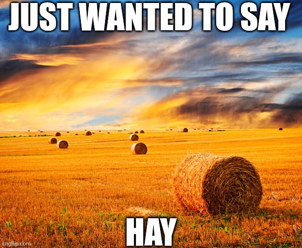 Just Wanted To Say Hay | JUST WANTED TO SAY; HAY | image tagged in chrisjoines1 | made w/ Imgflip meme maker