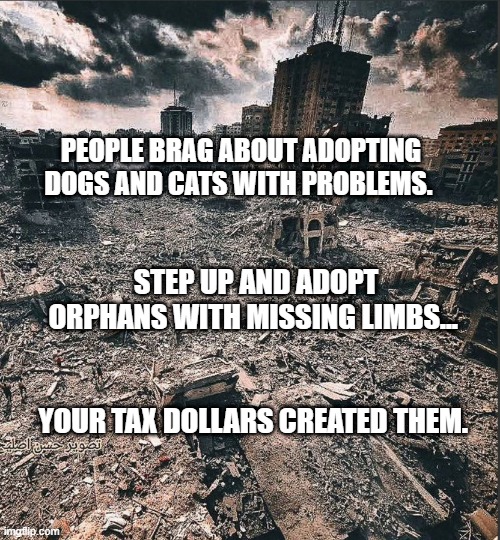 Gaza | PEOPLE BRAG ABOUT ADOPTING DOGS AND CATS WITH PROBLEMS. STEP UP AND ADOPT ORPHANS WITH MISSING LIMBS...                                                          YOUR TAX DOLLARS CREATED THEM. | image tagged in gaza | made w/ Imgflip meme maker