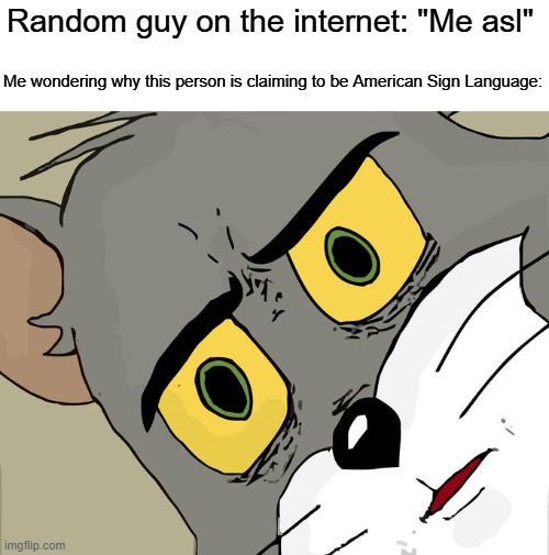 You are not an American. You are the entire English language. | Random guy on the internet: "Me asl"; Me wondering why this person is claiming to be American Sign Language: | image tagged in memes,unsettled tom,acronyms,unpopular opinion | made w/ Imgflip meme maker
