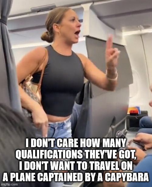 Plane Lady Not Real | I DON'T CARE HOW MANY QUALIFICATIONS THEY'VE GOT,
I DON'T WANT TO TRAVEL ON A PLANE CAPTAINED BY A CAPYBARA | image tagged in plane lady not real | made w/ Imgflip meme maker