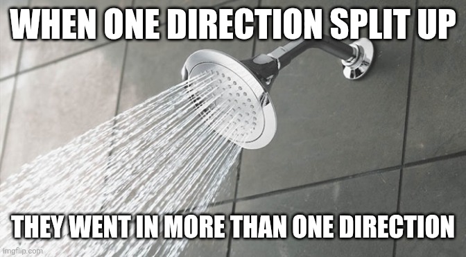 Shower Thoughts | WHEN ONE DIRECTION SPLIT UP; THEY WENT IN MORE THAN ONE DIRECTION | image tagged in shower thoughts | made w/ Imgflip meme maker