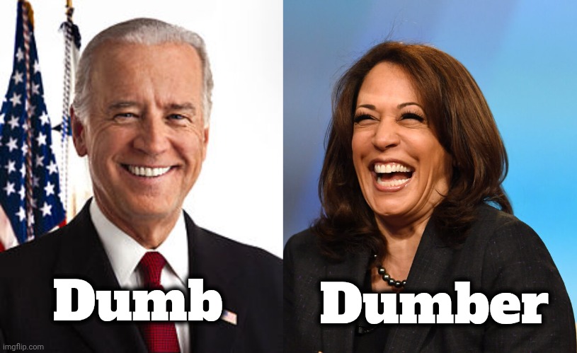Why The Democrats Lost | Dumb; Dumber | image tagged in joe biden,kamala harris laughing,upgrade,well yes but actually no,nobody's fault but,democrats democratting | made w/ Imgflip meme maker