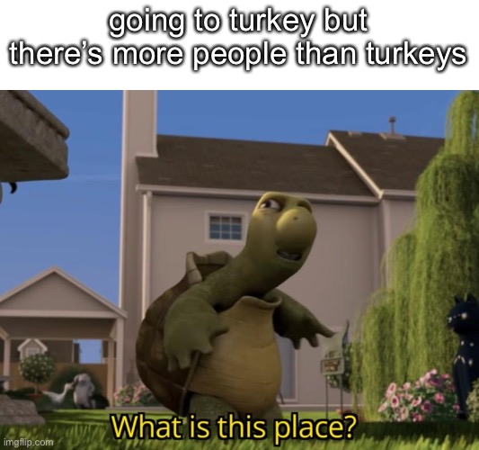 yes yes i know it’s called turkiye | going to turkey but there’s more people than turkeys | image tagged in what is this place | made w/ Imgflip meme maker