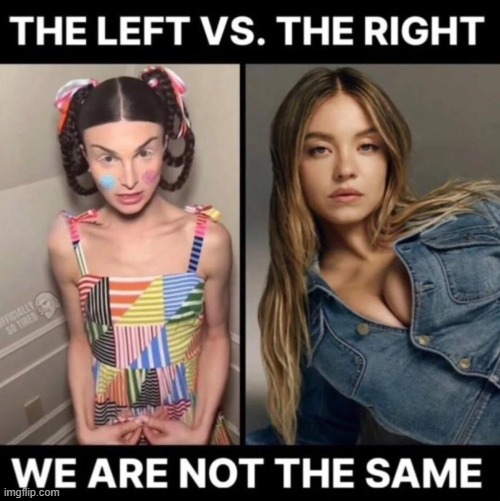 You can say that again! | image tagged in we are not the same,left,right,liberals vs conservatives | made w/ Imgflip meme maker