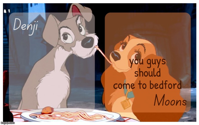 Denji and Moons - Lady And The Tramp temp | you guys should come to bedford | image tagged in denji and moons - lady and the tramp temp | made w/ Imgflip meme maker