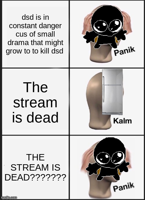 what happend here | dsd is in constant danger cus of small drama that might grow to to kill dsd; The stream is dead; THE STREAM IS DEAD??????? | image tagged in memes,panik kalm panik | made w/ Imgflip meme maker