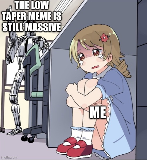 ^^ | THE LOW TAPER MEME IS STILL MASSIVE; ME | image tagged in anime girl hiding from terminator | made w/ Imgflip meme maker