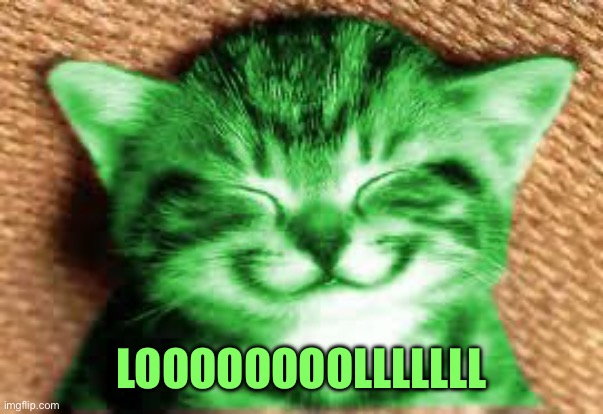happy RayCat | LOOOOOOOOLLLLLLL | image tagged in happy raycat | made w/ Imgflip meme maker