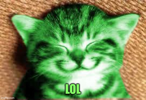 happy RayCat | LOL | image tagged in happy raycat | made w/ Imgflip meme maker