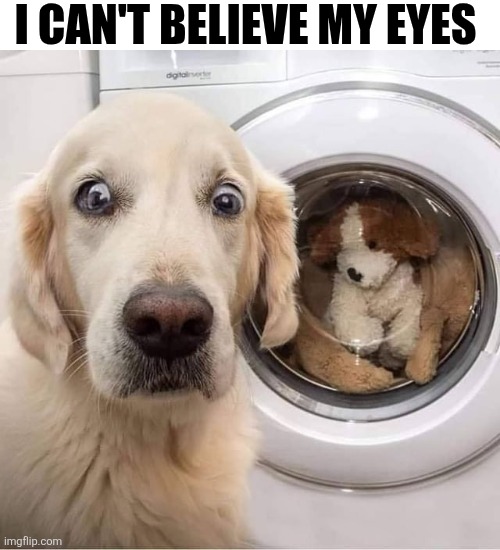 I Can't Believe My Eyes | I CAN'T BELIEVE MY EYES | image tagged in chrisjoines1 | made w/ Imgflip meme maker