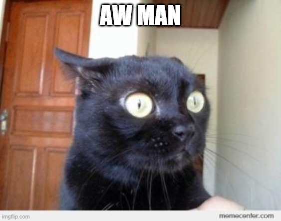 Scared Cat | AW MAN | image tagged in scared cat | made w/ Imgflip meme maker