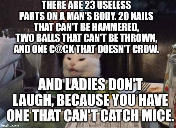 Smudge that darn cat | THERE ARE 23 USELESS PARTS ON A MAN'S BODY. 20 NAILS THAT CAN'T BE HAMMERED, TWO BALLS THAT CAN'T BE THROWN, AND ONE C@CK THAT DOESN'T CROW. AND LADIES DON'T LAUGH, BECAUSE YOU HAVE ONE THAT CAN'T CATCH MICE. | image tagged in smudge that darn cat | made w/ Imgflip meme maker
