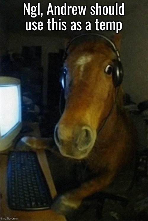 Andrew, I have your announcement temp | Ngl, Andrew should use this as a temp | image tagged in horse on computer | made w/ Imgflip meme maker