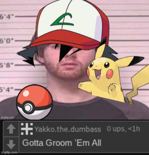 image tagged in gotta groom 'em all | made w/ Imgflip meme maker