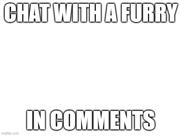 Blank White Template | CHAT WITH A FURRY; IN COMMENTS | image tagged in blank white template | made w/ Imgflip meme maker
