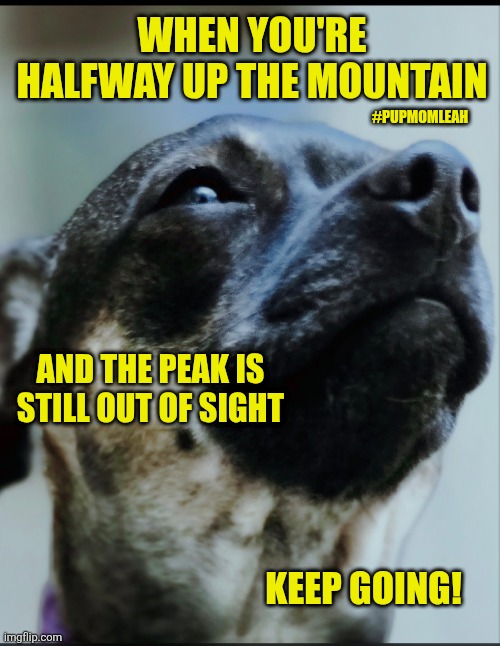 You got this! | WHEN YOU'RE HALFWAY UP THE MOUNTAIN; #PUPMOMLEAH; AND THE PEAK IS STILL OUT OF SIGHT; KEEP GOING! | image tagged in you can do it,keep calm,faith,love | made w/ Imgflip meme maker