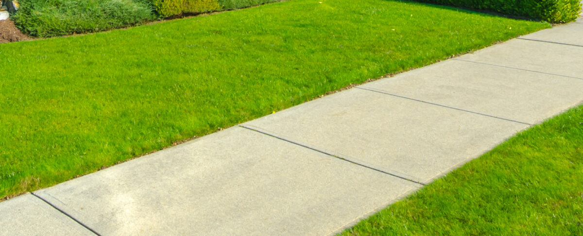 just a sidewalk Blank Meme Template
