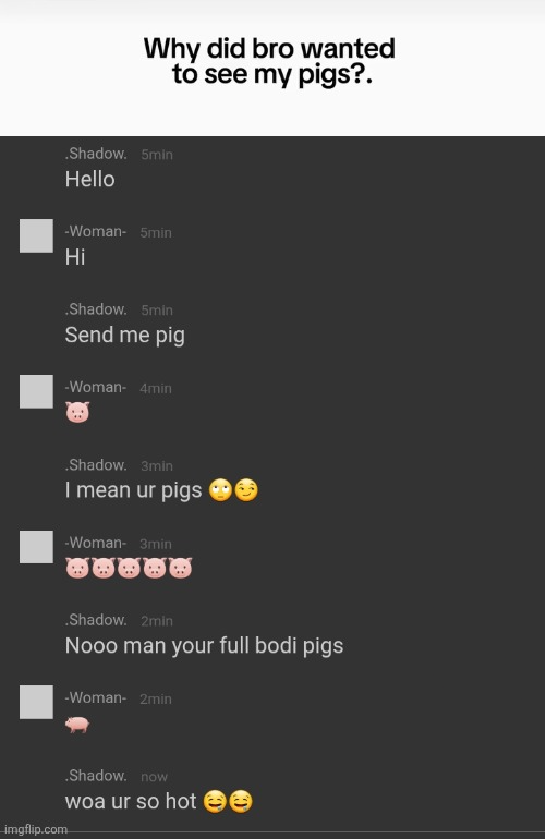 Why did bro wanted to see my pigs? Blank Meme Template
