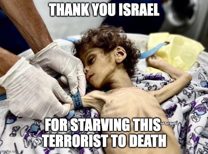 THANK YOU ISRAEL; FOR STARVING THIS 
TERRORIST TO DEATH | made w/ Imgflip meme maker