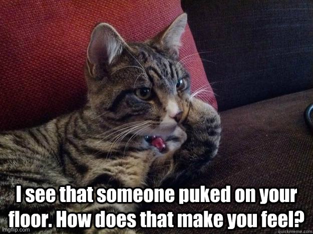 How Does That Make You Feel | image tagged in cats,funny cats,feels bad man,puke,smug,therapist | made w/ Imgflip meme maker