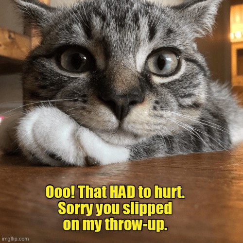 My Throw Up | image tagged in cats,funny cat memes,vomit,ouch,falling down,scumbag | made w/ Imgflip meme maker