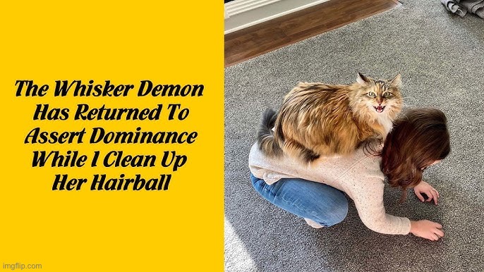The Whisker Demon | image tagged in cats,funny cats,hairballs,maid,domination,demon | made w/ Imgflip meme maker