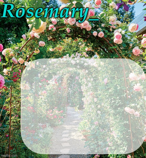 High Quality Rosemary_ template Blank Meme Template