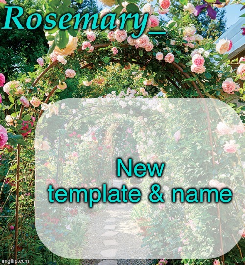 I think it looks good. I wanted something kinda unique from the last onr | New template & name | image tagged in rosemary_ template | made w/ Imgflip meme maker