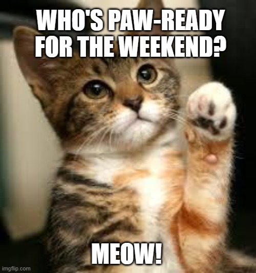 Paw-Ready | WHO'S PAW-READY FOR THE WEEKEND? MEOW! | image tagged in cute cat,cat weekend,cat memes,memecat,that's just silly cat,thinking cat | made w/ Imgflip meme maker