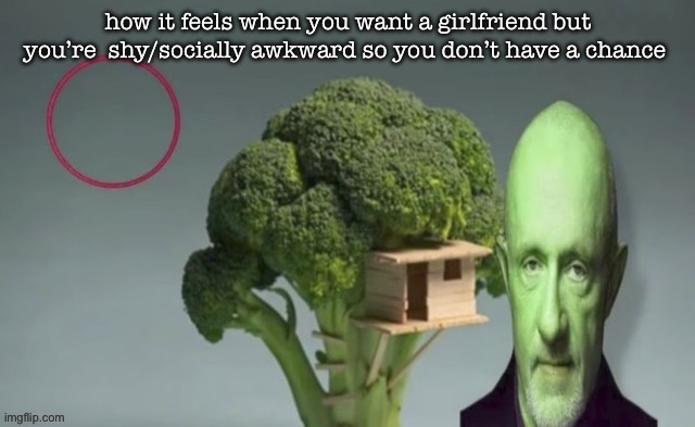 i would have a girlfriend by now but all my lesbian friends already have them (except for me) | how it feels when you want a girlfriend but you’re  shy/socially awkward so you don’t have a chance | image tagged in the rot consumes | made w/ Imgflip meme maker