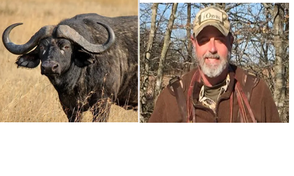 Big game hunter killed by buffalo Blank Meme Template