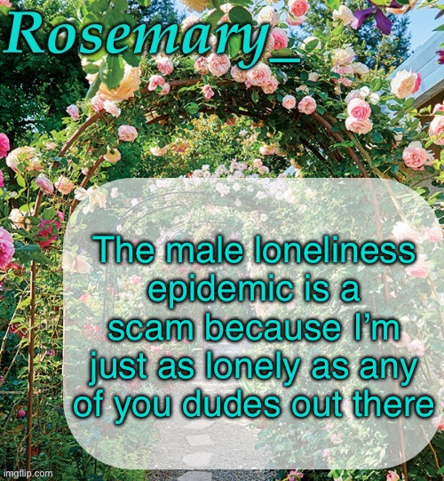And, if you didn’t know, I’m not a man | The male loneliness epidemic is a scam because I’m just as lonely as any of you dudes out there | image tagged in rosemary_ template | made w/ Imgflip meme maker