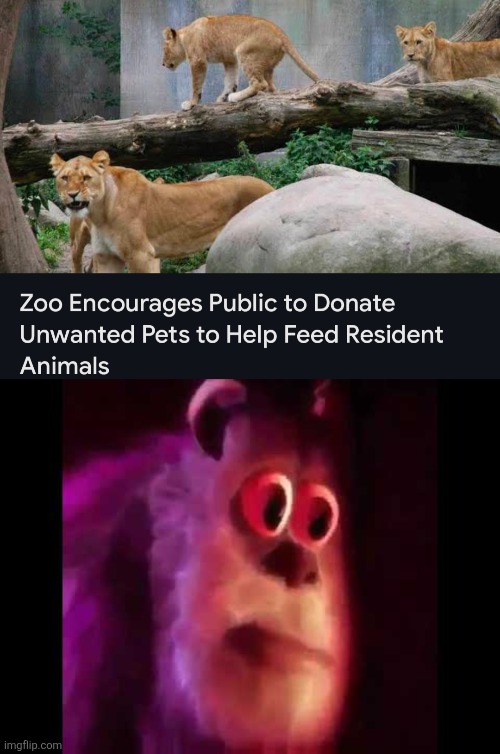 Oh... | image tagged in sully groan | made w/ Imgflip meme maker