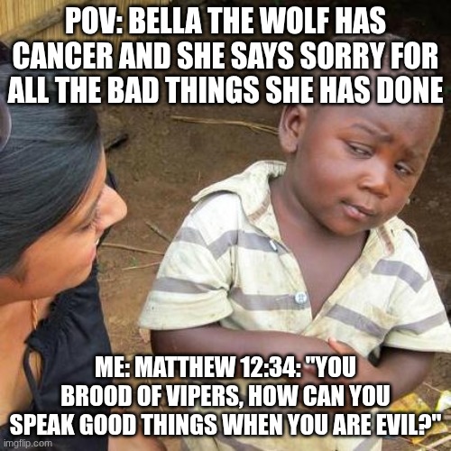 Third World Skeptical Kid Meme | POV: BELLA THE WOLF HAS CANCER AND SHE SAYS SORRY FOR ALL THE BAD THINGS SHE HAS DONE; ME: MATTHEW 12:34: "YOU BROOD OF VIPERS, HOW CAN YOU SPEAK GOOD THINGS WHEN YOU ARE EVIL?" | image tagged in memes,third world skeptical kid | made w/ Imgflip meme maker