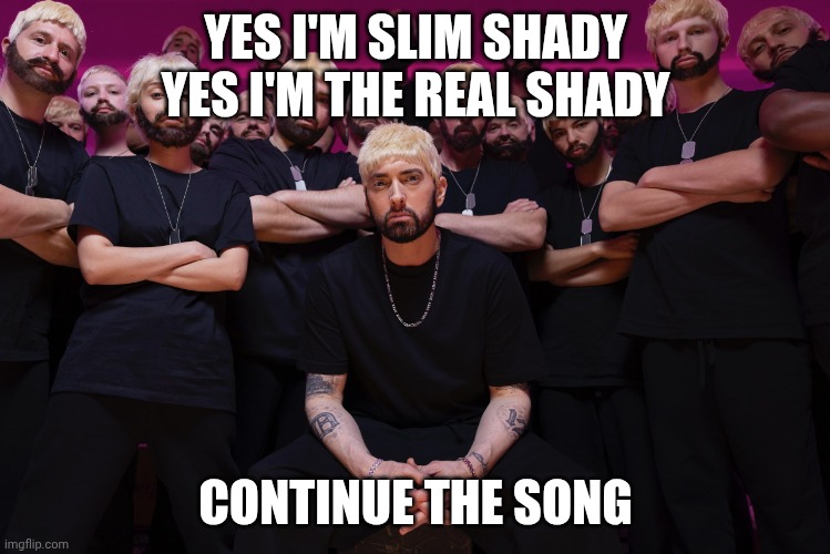 continue it | YES I'M SLIM SHADY YES I'M THE REAL SHADY; CONTINUE THE SONG | image tagged in eminem houdini hes back,eminem | made w/ Imgflip meme maker