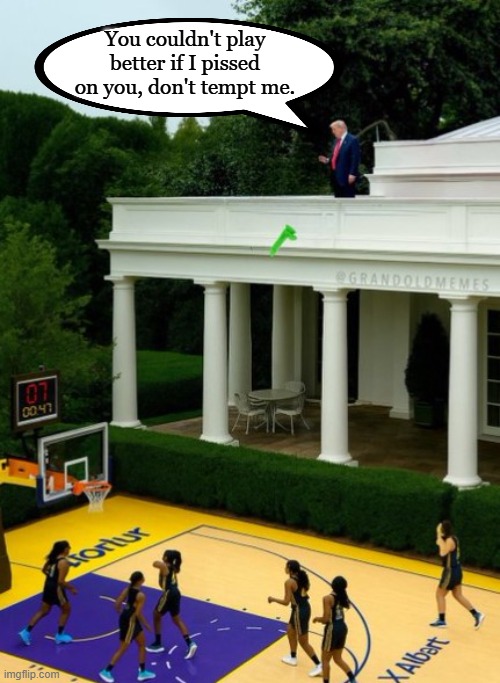 From the WH roof | You couldn't play better if I pissed on you, don't tempt me. | image tagged in donald trump,white house,basketball,funny memes | made w/ Imgflip meme maker