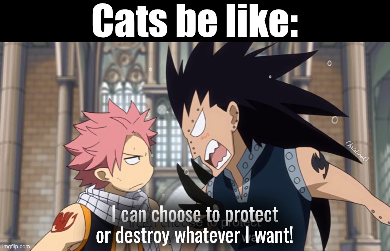 Fairy Tail Memes - Cats | Cats be like:; ChristinaO; I can choose to protect or destroy whatever I want! | image tagged in memes,fairy tail,fairy tail memes,gajeel redfox,cats,cat memes | made w/ Imgflip meme maker